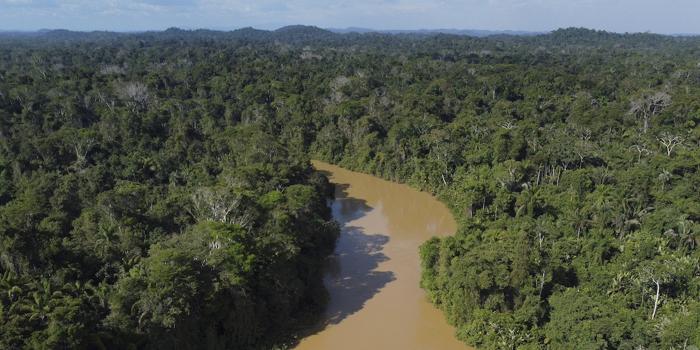Piano di investimento per proteggere l’Amazzonia