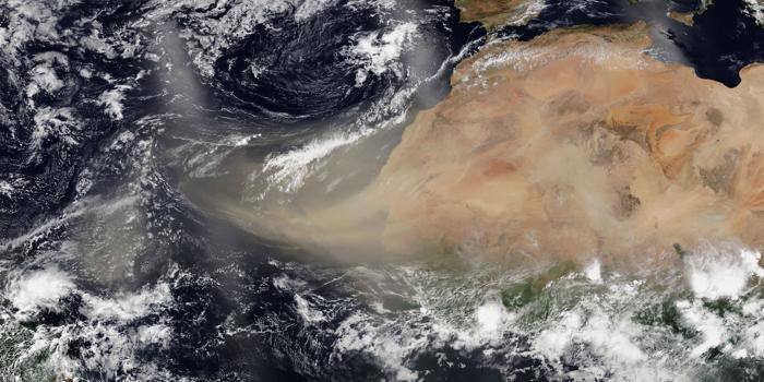 Impatti e misteri della polvere sahariana