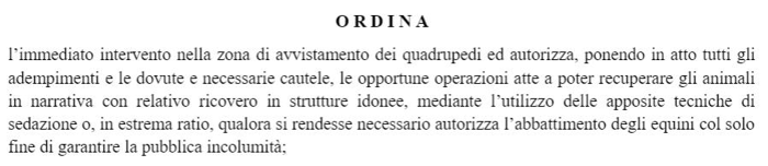 L'ordinanza