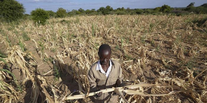 Zimbabwe dichiara stato di disastro per siccità da El Niño