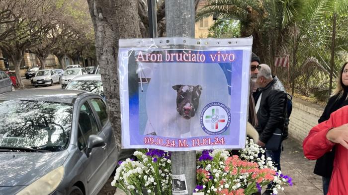 Tragedia a Palermo: uomo incensurabile dà fuoco al suo cane