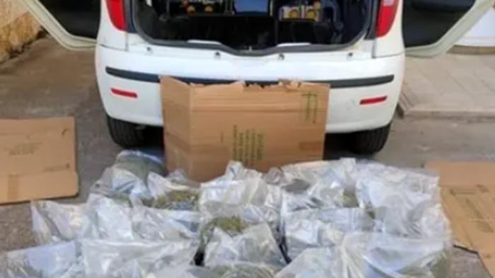 Arrestato uomo con 31 chili di marijuana in Sardegna