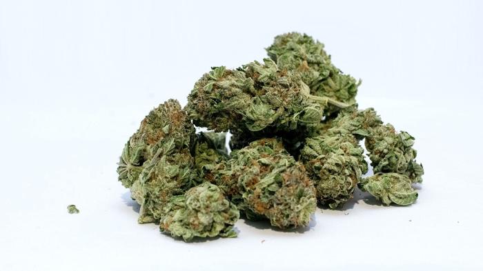 Legalizzazione della cannabis: impatto sui consumi tra gli adolescenti