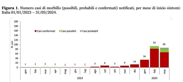 incidenza del morbillo - dati Iss 2024 Morbillo dati Iss 2024