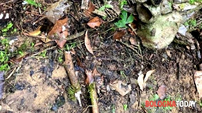 Mistero delle ossa umane sui Colli di Bologna