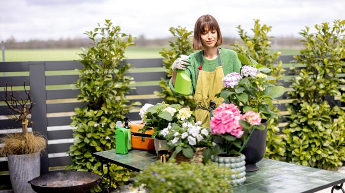 Come trasformare il tuo terrazzo in un’oasi verde e accogliente