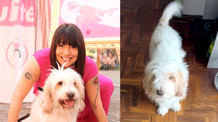 Addio a Otto: l’addio al dolce cagnolino di Estetista Cinica