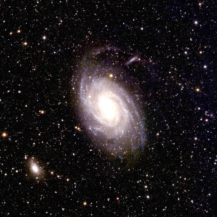 NGC 6744, una delle galassie a spirale più grandi oltre la nostra porzione di spazio locale (Euclid, esa) Euclid_s_new_image_of_spiral_galaxy_NGC_6744