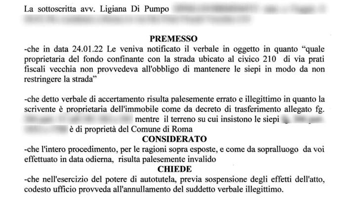 Il ricorso Il ricorso