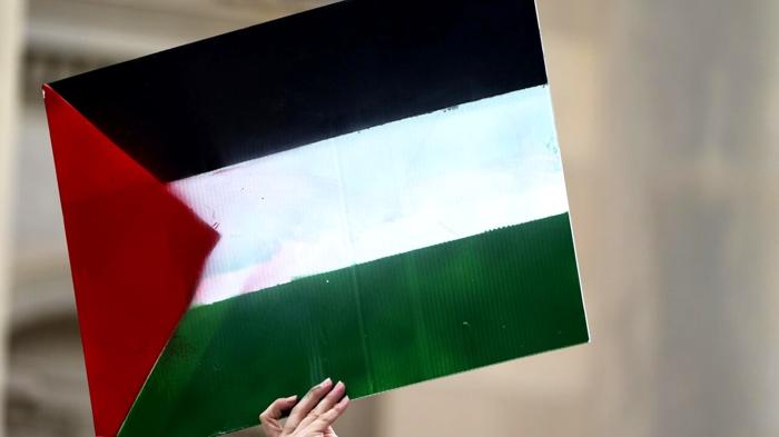 Riconoscimento Palestina all’ONU: Voto e Reazioni
