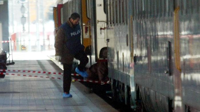 Tragedia alla Stazione Termini: Furto, Fuga e Incidente Mortale