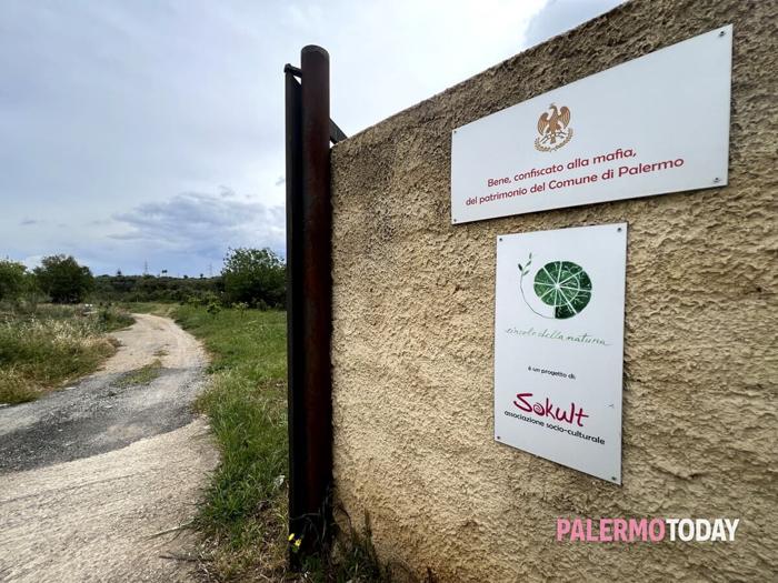Sokult, il terreno confiscato alla mafia che ospita l'apiario di Nivura