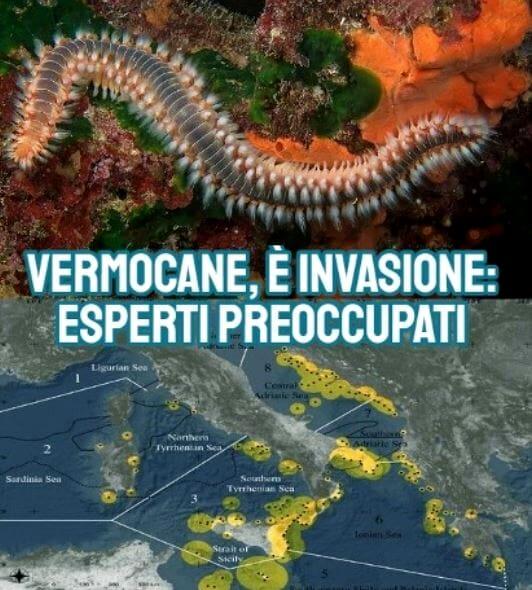 Vermocane - Centro meteo italiano Vermocane - Centro meteo italiano