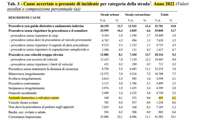 Cause incidenti stradali 2022 - dati Istat Cause incidenti stradali 2022 - dati Istat