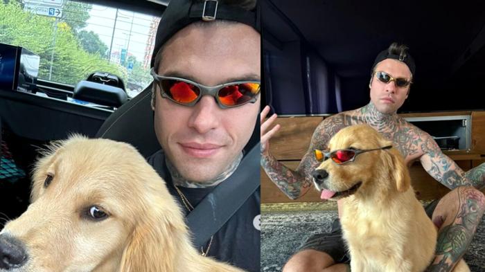 Fedez: Nuovo Cane e Polemiche sui Social
