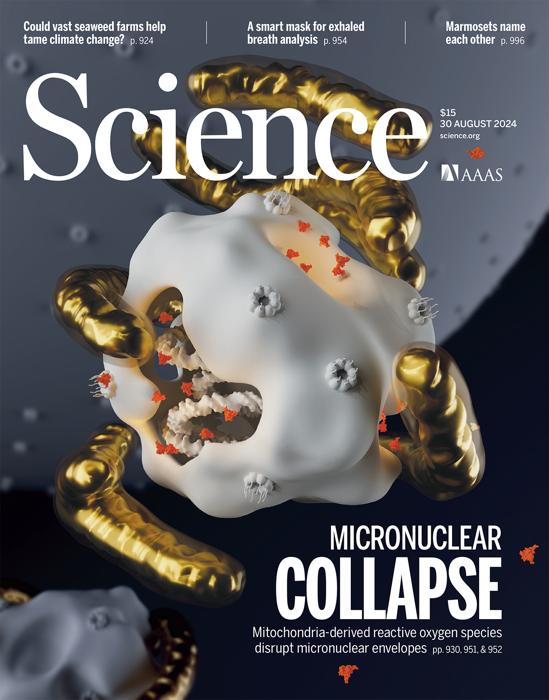 Studio italiano sui tumori su copertina Science - Science Studio italiano sui tumori su copertina Science - Science