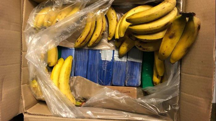 Scoperta cocaina tra le banane: il caso Aldi in Germania