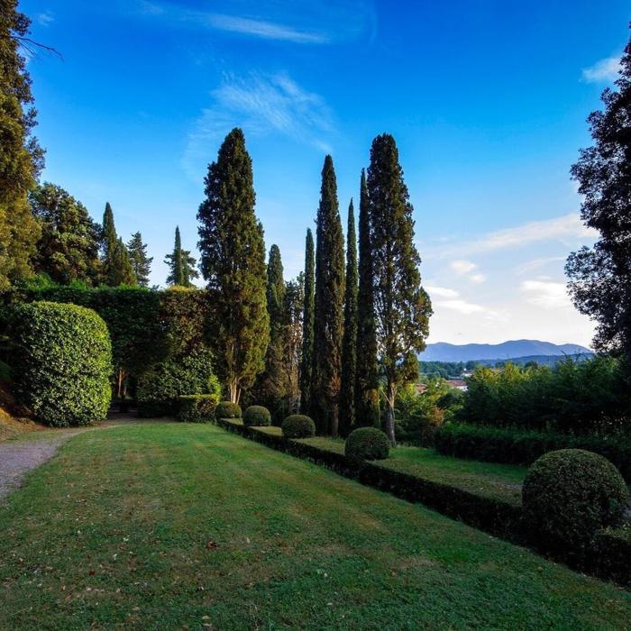 Villa Oliva è circondata da un grande giardino, foto @villaoliva_lucca via Instagram matrimonio buffon d'amico-7