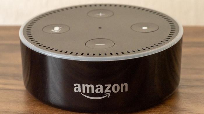 Il Profilo degli Utenti negli Assistenti Vocali: Studio e Implicazioni