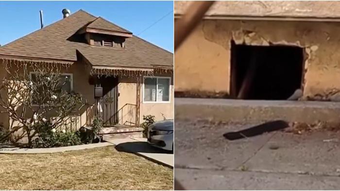 Anziana scopre uomo nudo sotto casa