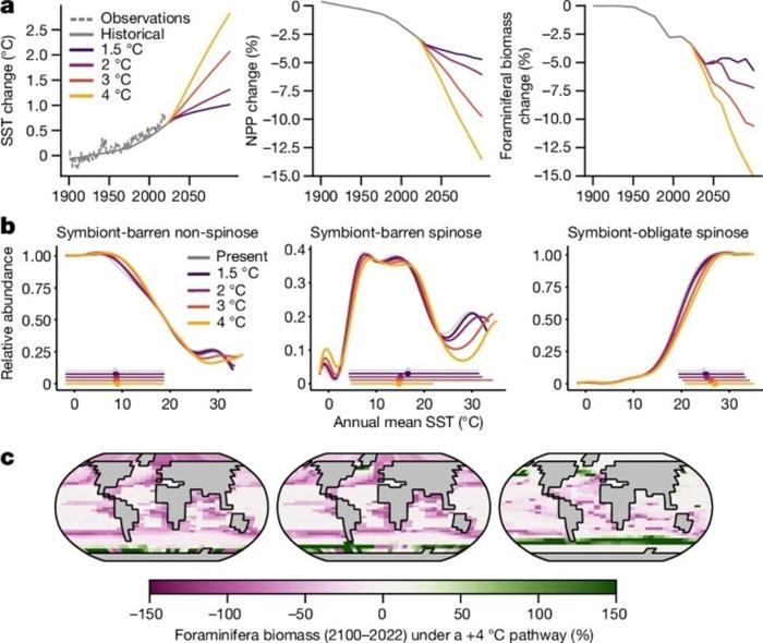 L immagine mostra come cambierà la capacità di fissare carbonio degli oceani e la biomassa totale dei foraminiferi in rapporto all aumento delle temperature nell arco del secolo (fig. A), come si modificherà l abbondanza relativa di tre gruppi principali di foraminiferi (fig. B) e come cambierà la biomassa di foraminiferi presenti negli oceani nel 2100 relativamente ad oggi, nello scenario climatico peggiore (fig. C). Immagine-128