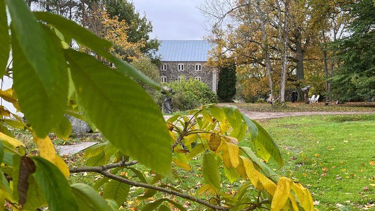 None Rami di alberi decidui in primo piano; sullo sfondo, un edificio in pietra e un prato delimitato da alberi in un paesaggio autunnale.