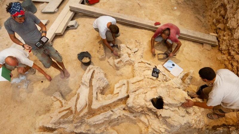 None Gli archeologi scoprono prove senza precedenti delle abilità dei Neanderthal nella lavorazione del legno