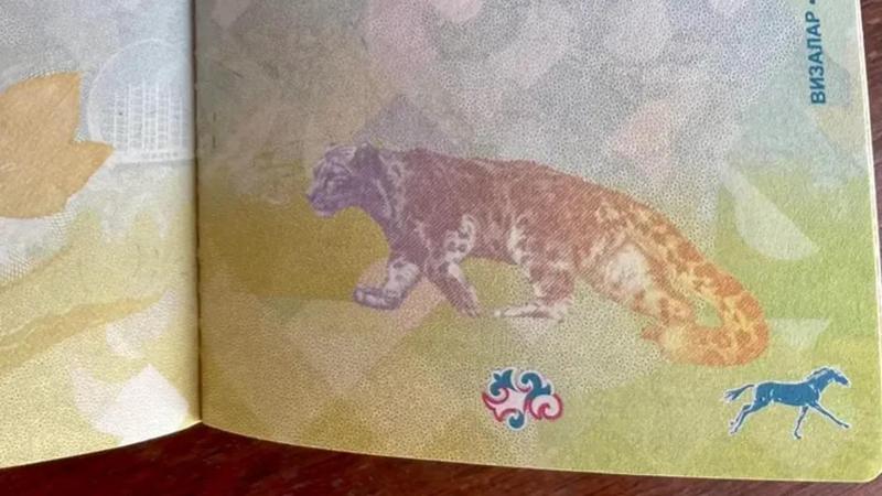 None Il cavallo che galoppa sfogliando rapidamente il passaporto kirghiso