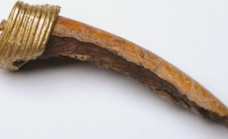 Piombo nei denti dei bambini: l’inquinamento era già alto nel VII secolo