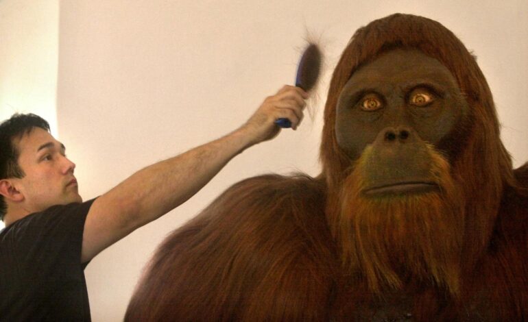 Gigantopithecus e umani: si incontrarono davvero?