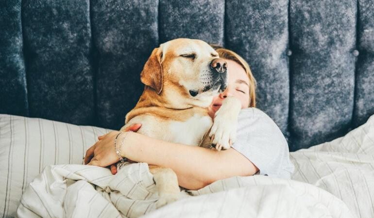 Cani e proprietari si muovono insieme anche durante il sonno
