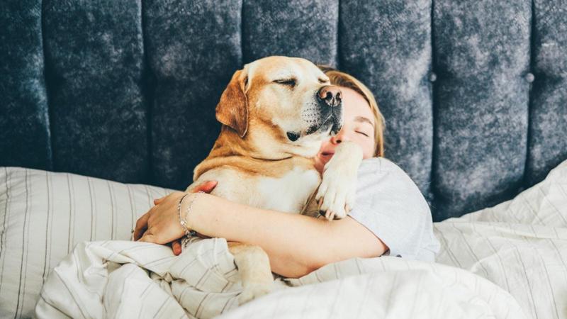 Cani e proprietari si muovono insieme anche durante il sonno