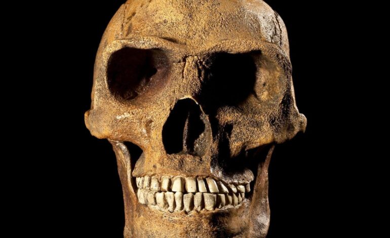 Homo erectus potrebbe essere comparso 200.000 anni prima