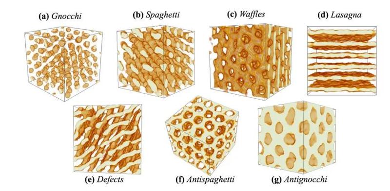 None Le diverse forme della pasta nucleare – Foto: M. E. Caplan, C. J. Horowitz