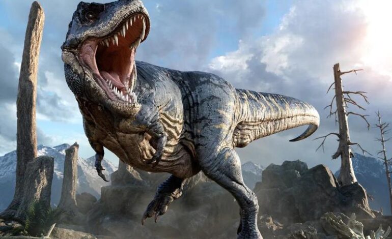 T. rex, fossili rivelano una vita sociale oltre la caccia