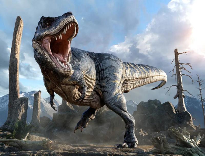 T. rex, fossili rivelano una vita sociale oltre la caccia