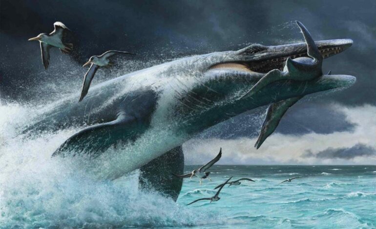 Mosasauri, uno scatto di coda poteva raggiungere 24 km/h