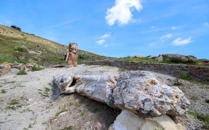 None lesvos-petrified-forest-takes-you-back-20-million-years4