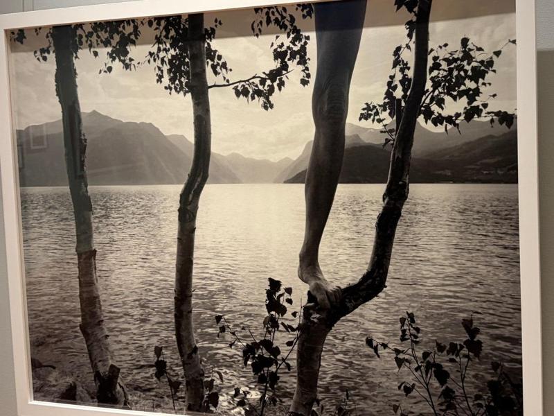 Foto: Mona Pahle Bjerke / NRK