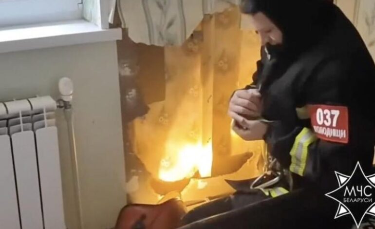 Pappagallo intrappolato per 2 giorni dietro una parete