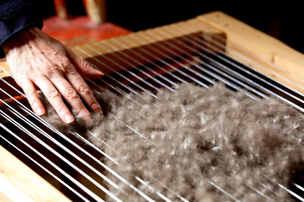 Dettaglio della raccolta manuale della piuma di edredone in Norvegia.