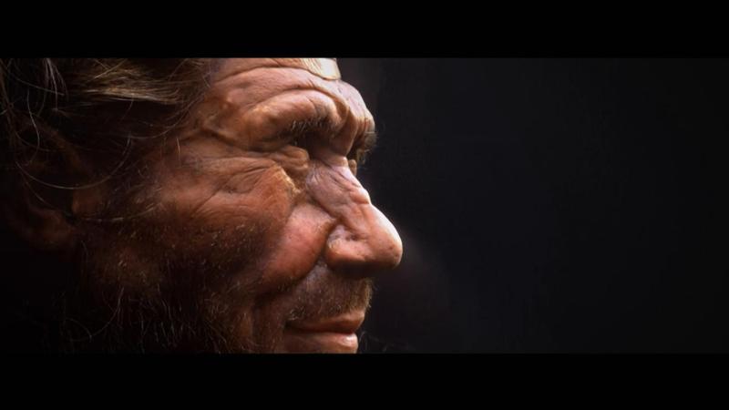 None Il mistero dell'uomo di Denisova