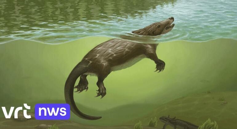 Megacauda, il mammifero giurassico che cacciava in acqua