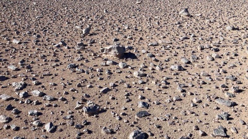 Un sensore tra nanofili d’oro distingue gli amminoacidi