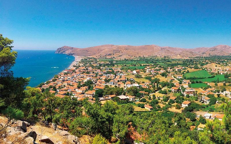 None lesvos-petrified-forest-takes-you-back-20-million-years6