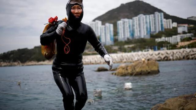Le più anziane subacquee del mondo risentono degli effetti dei cambiamenti climatici. Il rapido riscaldamento del mare nella provincia sudcoreana di Jeju sta causando una diminuzione degli animali marini