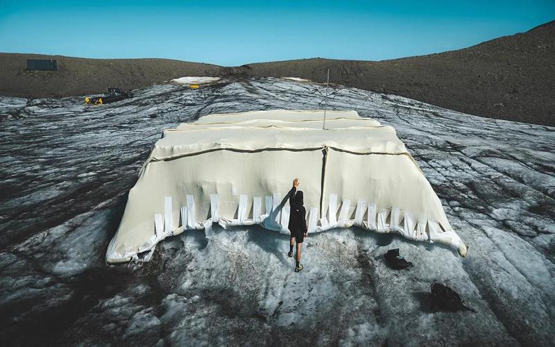 Lana di pecora sui ghiacciai: i teli naturali frenano lo scioglimento