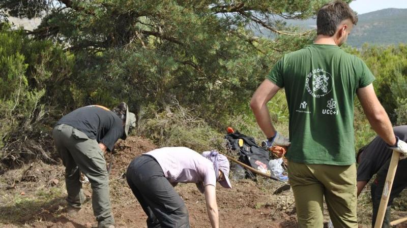 tre persone lavorano in un sito archeologico in legno