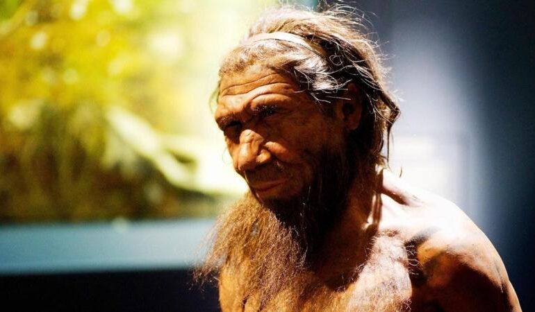 Neanderthal, 597 impronte rivelano l’uso di utensili in legno