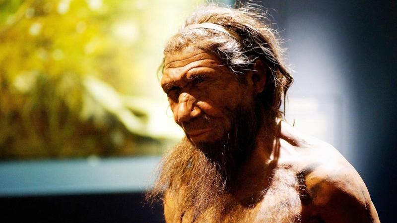 Neanderthal, 597 impronte rivelano l’uso di utensili in legno
